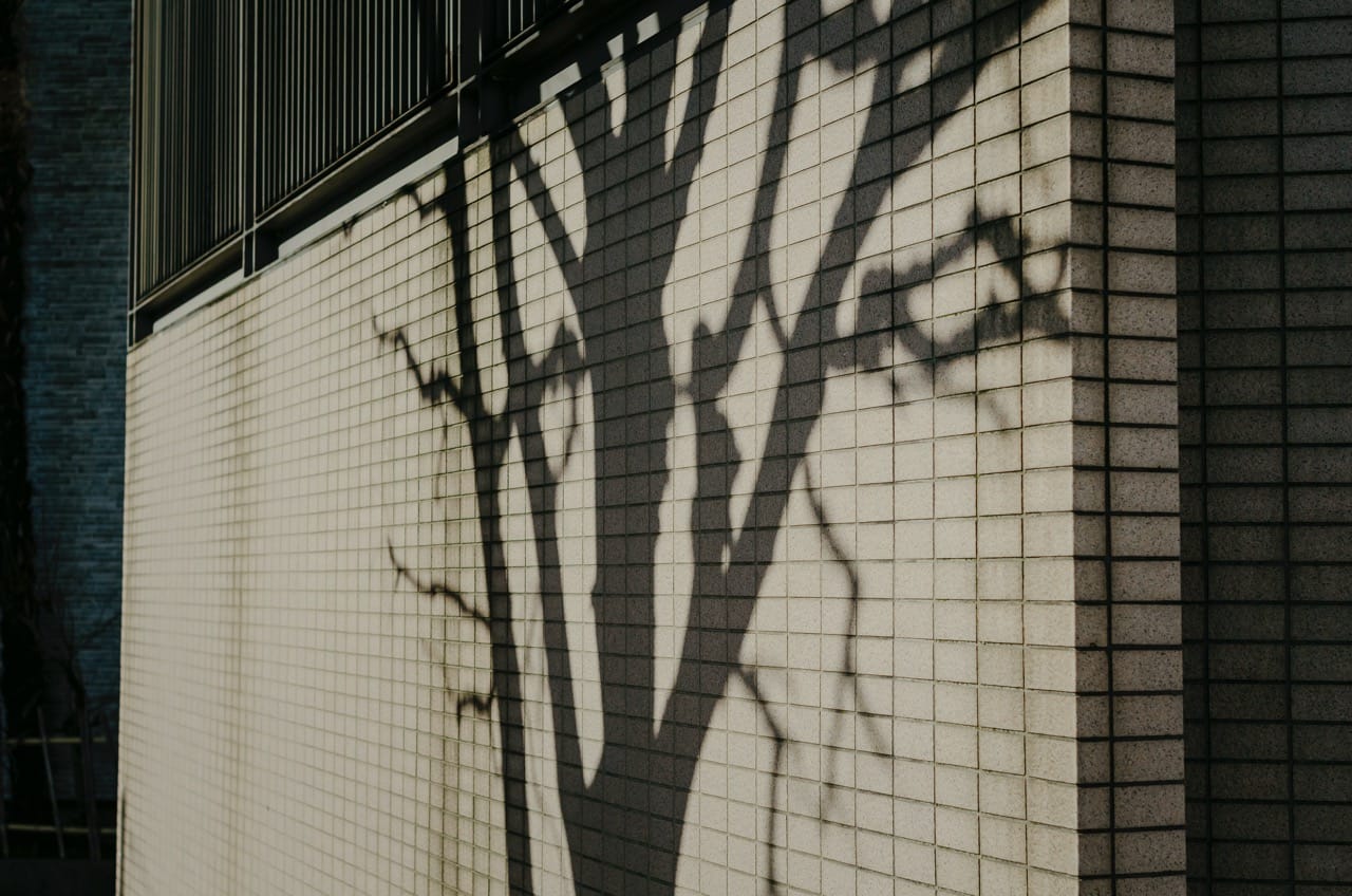 Превью Kanazawa 2024